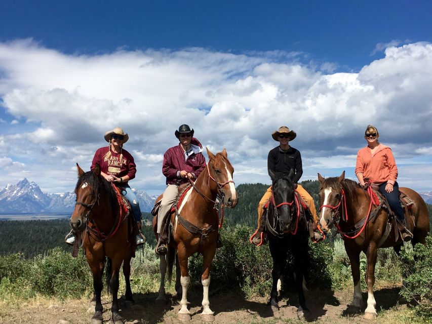 Jackson Hole: Bridger-Teton National Forest Horseback Ride - What the ride feels like for beginners