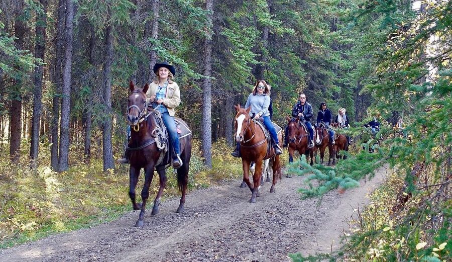 Jackson Hole: Bridger-Teton National Forest Horseback Ride - Meeting your horse and learning the basics
