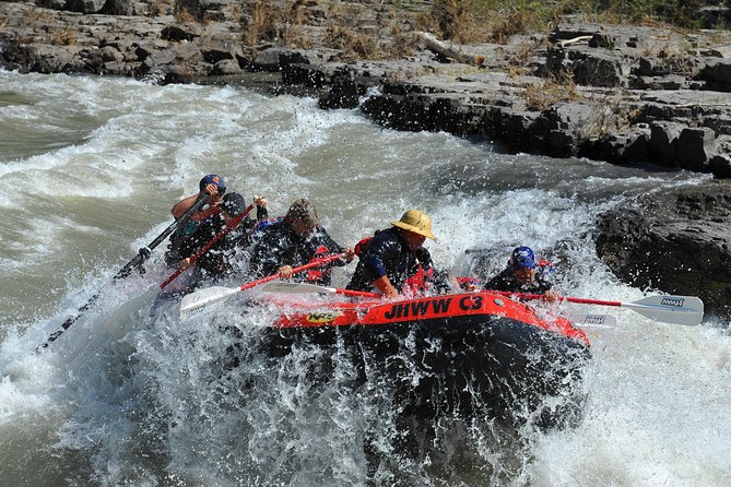 Jackson Hole Whitewater Rafting Classic from Jackson Hole,Wyoming - Guides who shape the experience