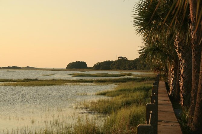 Jekyll Island Dolphin Tours - Choosing the best time of day