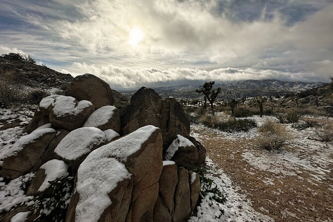 Joshua Tree National Park Self-Guided Driving Audio Tour - Why this audio tour works well in Joshua Tree