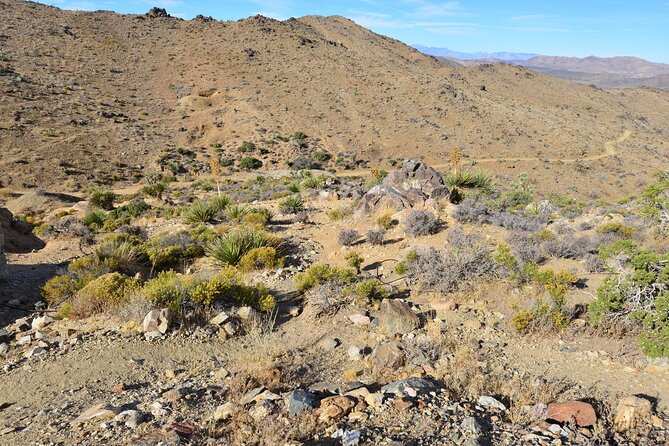 Joshua Tree National Park Self-Guided Driving Audio Tour - Hemingway Buttress, Hidden Valley, and the climbing country