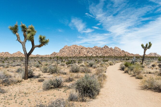 Joshua Tree National Park Self-Guided Driving Audio Tour - Lost Horse Valley and the old mines