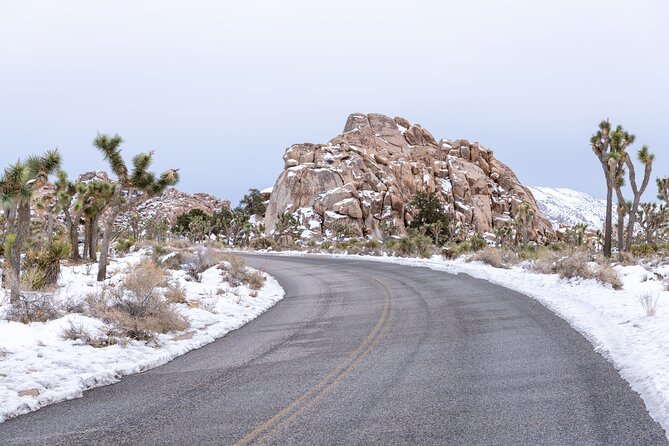 Joshua Tree National Park Self-Guided Driving Audio Tour - Finishing at Oasis Visitor Center