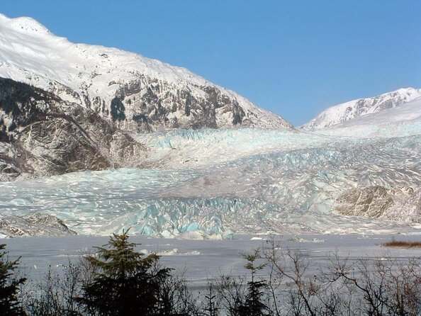 Juneau Wildlife Whale Watching & Mendenhall Glacier - How much value do you get for $249?