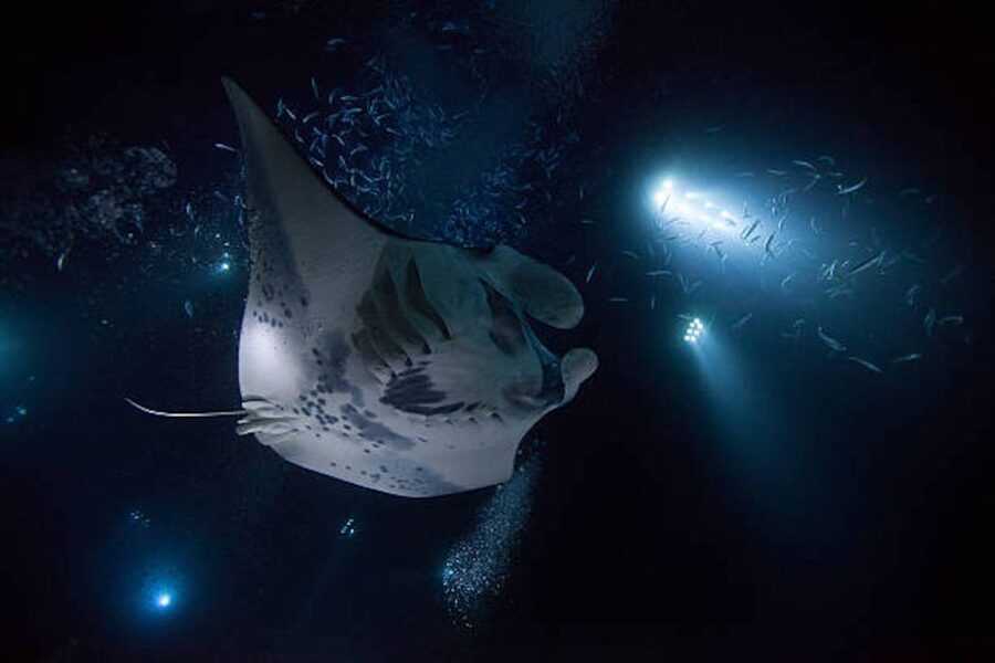 Kailua-Kona: Manta Ray Watching Nighttime Boat Trip - Leaving Kailua-Kona after sunset