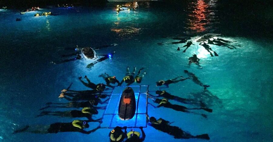 Kailua Kona: Night Manta Ray Adventure on the Big Island - Getting into the water with floats and light boards