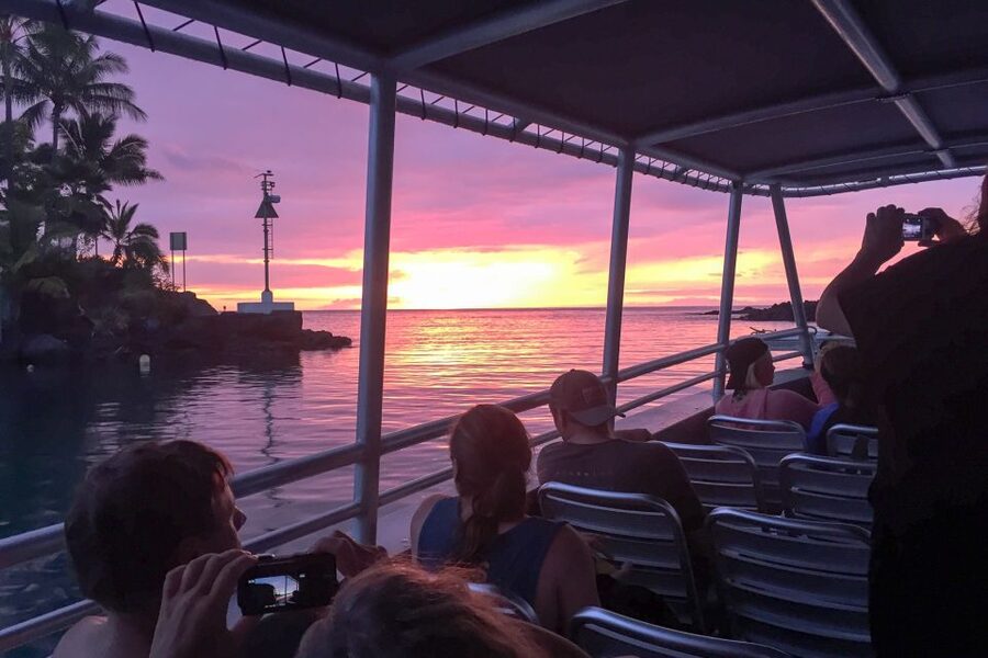 Kailua Kona: Night Manta Ray Adventure on the Big Island - What the trip does well for nervous snorkelers