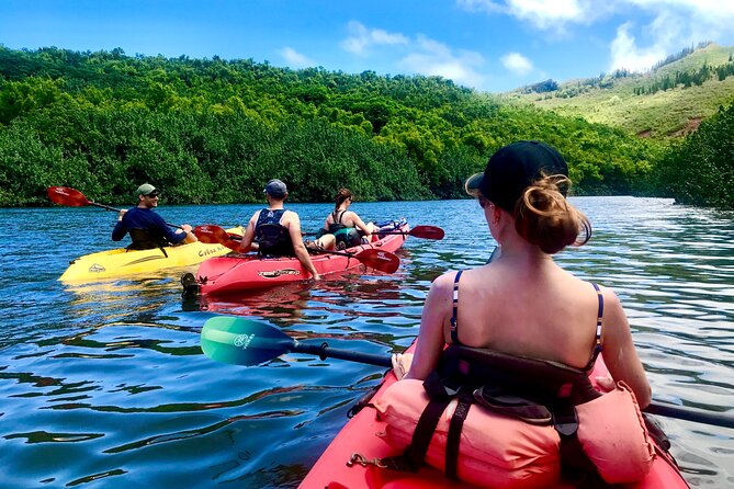 Kauai Adventure: Kayak & Hike to Secret Falls with Expert Guide - What this Kauai adventure really involves