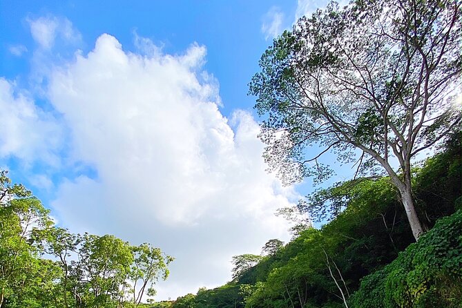 Kauai Adventure: Kayak & Hike to Secret Falls with Expert Guide - The guide can make or break the day
