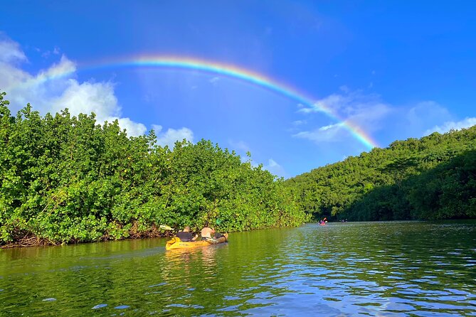 Kauai Adventure: Kayak & Hike to Secret Falls with Expert Guide - Who should book this five-hour outing?