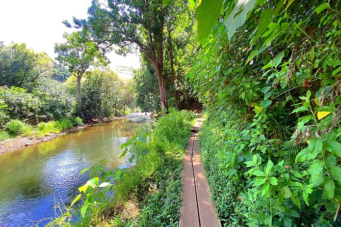 Kauai Adventure: Kayak & Hike to Secret Falls with Expert Guide - Price, group size, and cancellation terms