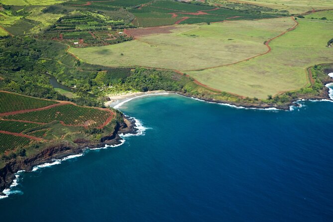 Kauai Airplane Tour: Na Pali Coast, Waterfalls & Window Seats - Mount Waialeale and the Wettest Spot on Earth