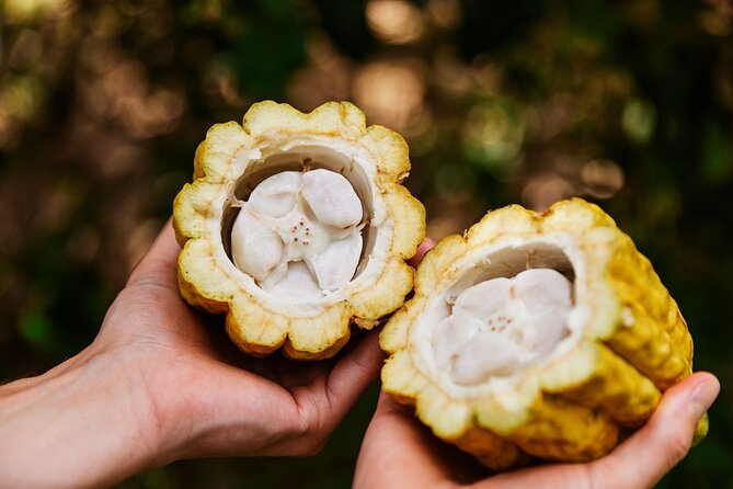 Kauai Chocolate Farm Tasting Tour - From raw seed to estate-grown dark chocolate