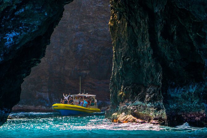 Kauai: Na Pali Coast Super Raft Snorkel Adventure - Dolphins, whales, turtles, and the luck factor