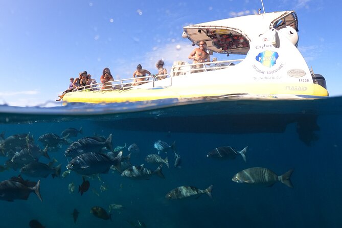 Kauai: Na Pali Coast Super Raft Snorkel Adventure - Snorkeling with fish and sea turtles
