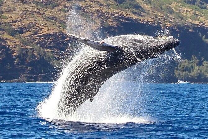 Kauai: Nā Pali Coast Zodiac Raft Expedition and Snorkeling - The real motion-sickness question