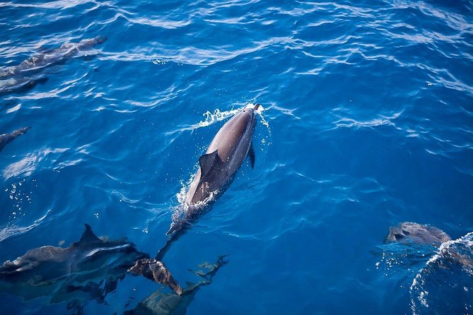 Kauai: Na Pali Sunset & Sightsee Boat Tour - Who should book this cruise