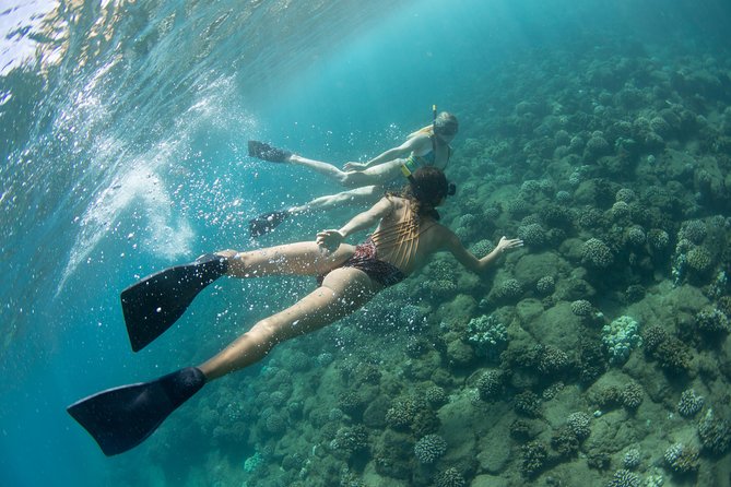 Kauai’s Na Pali Coast Snorkel and Sail Tour - Snorkeling at a calm reef