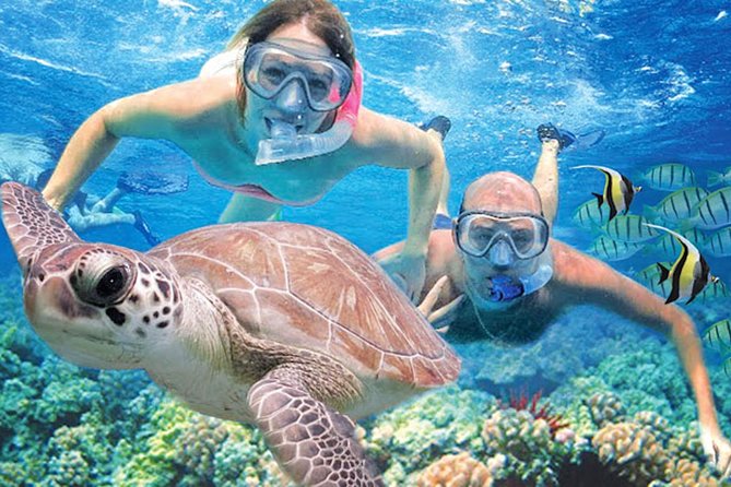 Kauai’s Ultimate Guided Shore Snorkel in South Poipu - Quick facts about the South Poipu snorkel