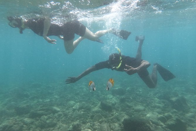 Kauai’s Ultimate Guided Shore Snorkel in South Poipu - Safety help for beginners and children