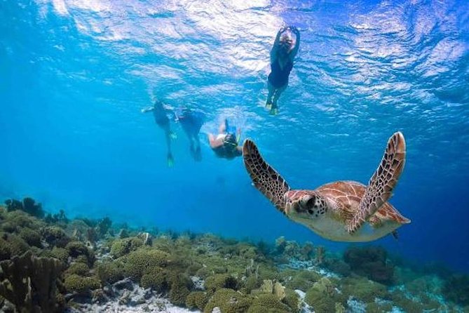 Kauai’s Ultimate Guided Shore Snorkel in South Poipu - Checking in at 3417 Poipu Road
