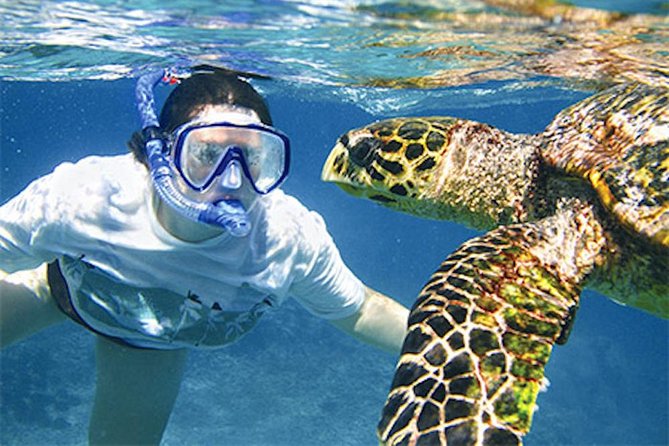 Kauai's Ultimate South Island Zodiac Boat Snorkel Adventure - Spouting Horn and the south shore view