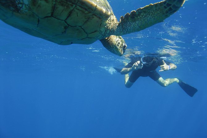 Kauai's Ultimate South Island Zodiac Boat Snorkel Adventure - Snacks between stops and a second reef