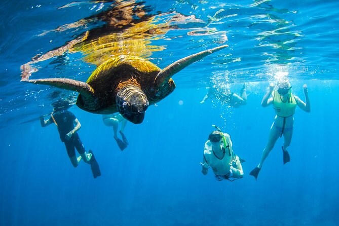 Kauai's Ultimate South Island Zodiac Boat Snorkel Adventure - First snorkeling stop: calm water and turtles