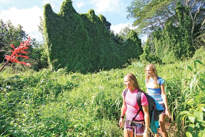 Kauai: Secret Falls Kayak and Hike - From kayak to rainforest trail