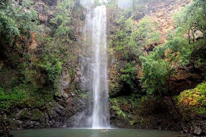 Kauai: Secret Falls Kayak and Hike - What the guide adds beyond directions