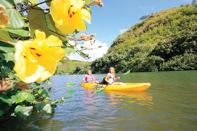 Kauai: Secret Falls Kayak and Hike - Booking details and weather planning