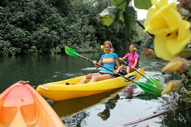 Kauai: Secret Falls Kayak and Hike - Uluwehi Falls, the not-so-secret reward