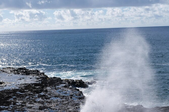 Kauai Waimea Canyon and Koke'e Tour - Kokeʻe State Park and the Easy Nature Walk