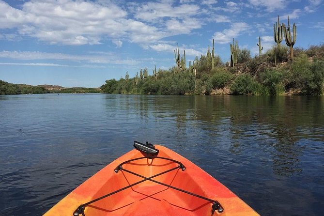 Kayaking the Salt River Foxtail Trip - Key points to know before you book