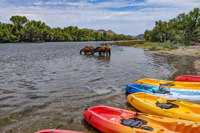 Kayaking the Salt River Foxtail Trip - Weekend crowds and the self-guided format