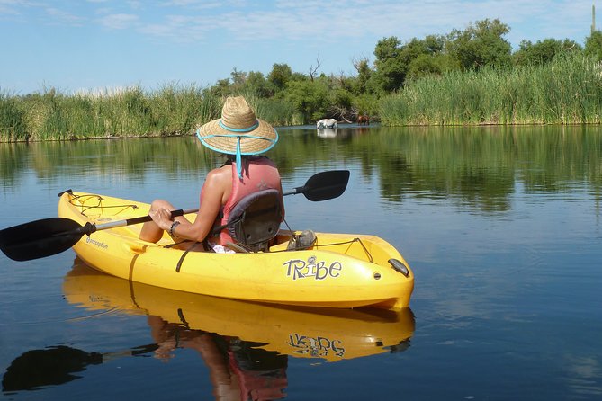 Kayaking the Salt River Foxtail Trip - Launching into the Lower Salt River