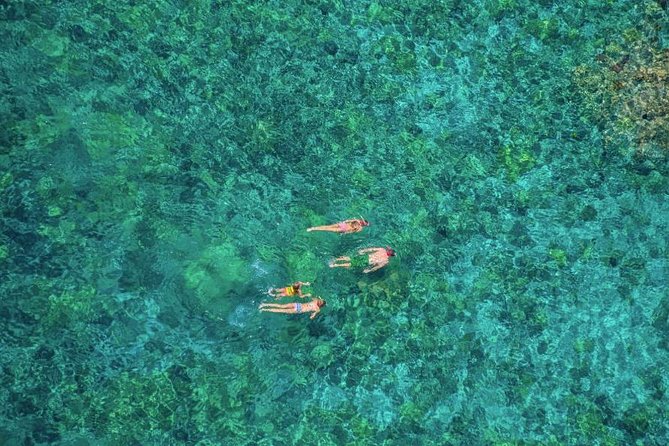 Kealakekua Bay Afternoon Snorkel: Family Fun on the Kona Coast - How the $143.93 price measures up