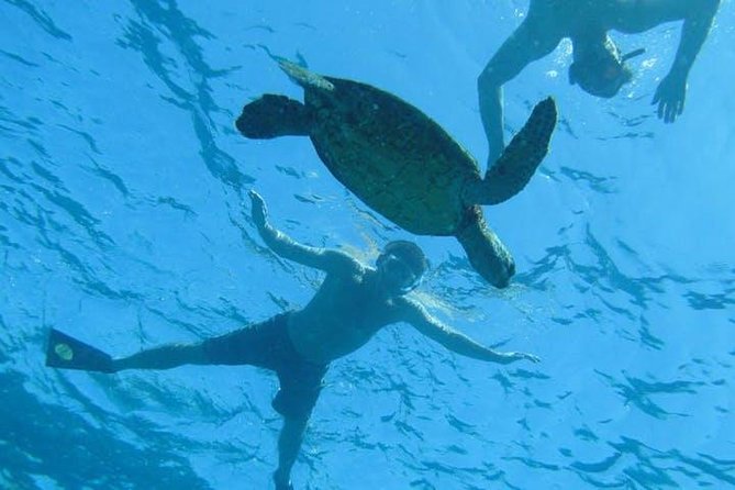 Kealakekua Bay Captain Cook Snorkel Exclusive - What the boat ride adds to the outing