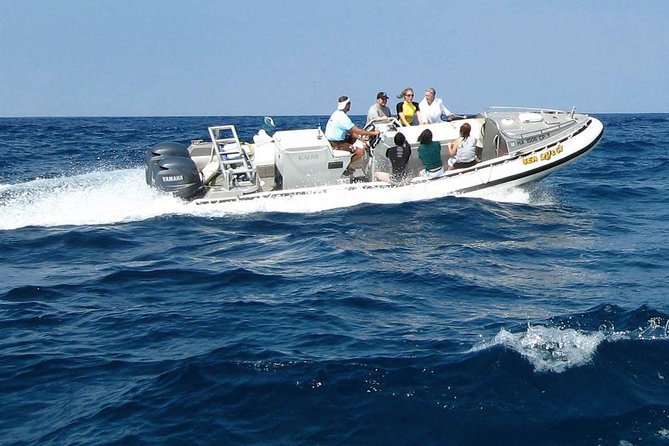 Kealakekua Bay Captain Cook Snorkel Exclusive - Practical planning before you book