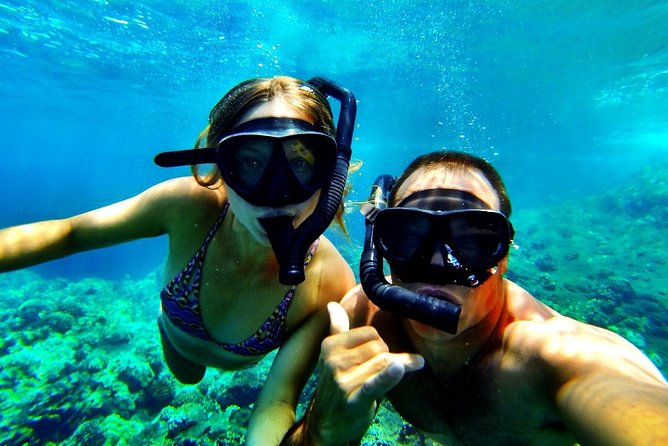 Kealakekua Bay Captain Cook Snorkel Exclusive - How the three-hour schedule works
