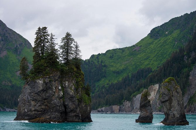 Kenai Fjords and Resurrection Bay Half-Day Wildlife Cruise - Bear Glacier and the ice-carved coast