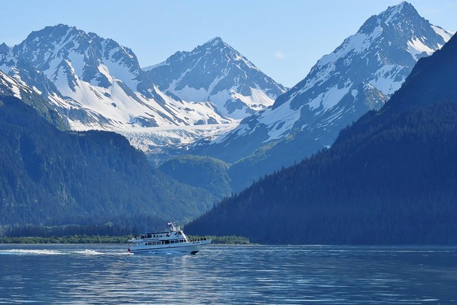 Kenai Fjords and Resurrection Bay Half-Day Wildlife Cruise - What the crew adds to the four hours