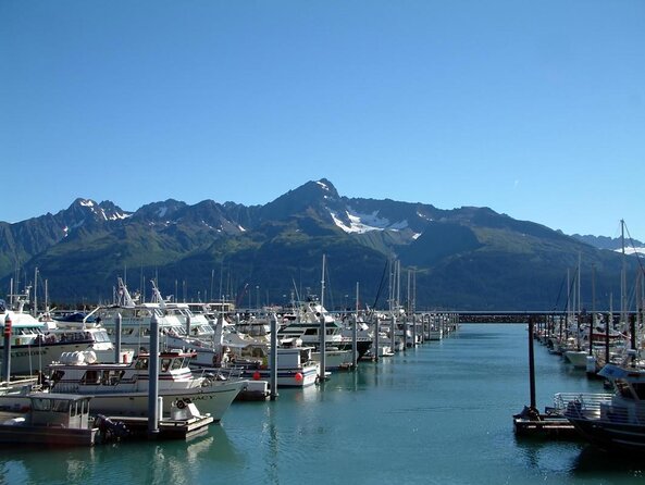 Kenai Fjords and Resurrection Bay Half-Day Wildlife Cruise - Who should book this Seward cruise?