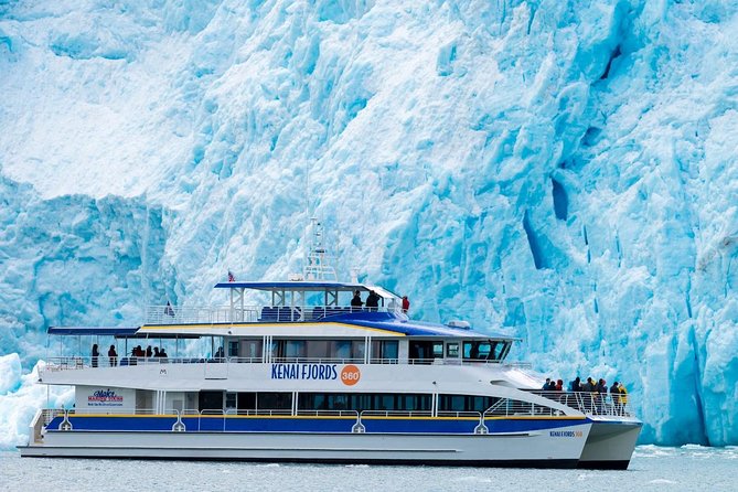 Kenai Fjords National Park Glacier & Wildlife Cruise - Chiswell Islands and Cape Resurrection wildlife