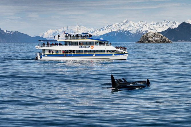 Kenai Fjords National Park Glacier & Wildlife Cruise - What the naturalist adds to the day