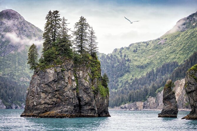 Kenai Fjords National Park Glacier & Wildlife Cruise - Lunch, drinks, and onboard comfort