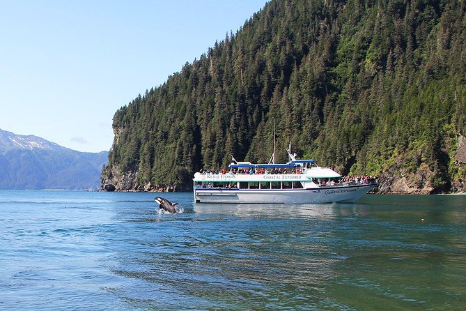 Kenai Fjords National Park Glacier & Wildlife Tour from Seward - Wildlife watching: wonderful, but never promised