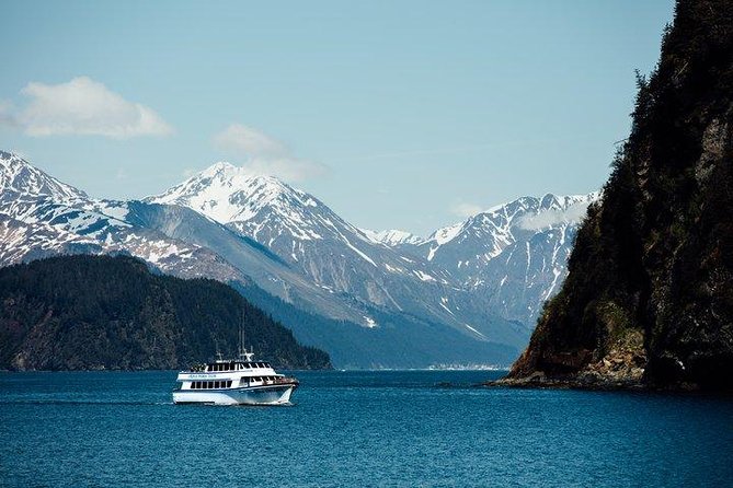 Kenai Fjords National Park Glacier & Wildlife Tour from Seward - Alaska Maritime National Wildlife Refuge and its seabird colonies