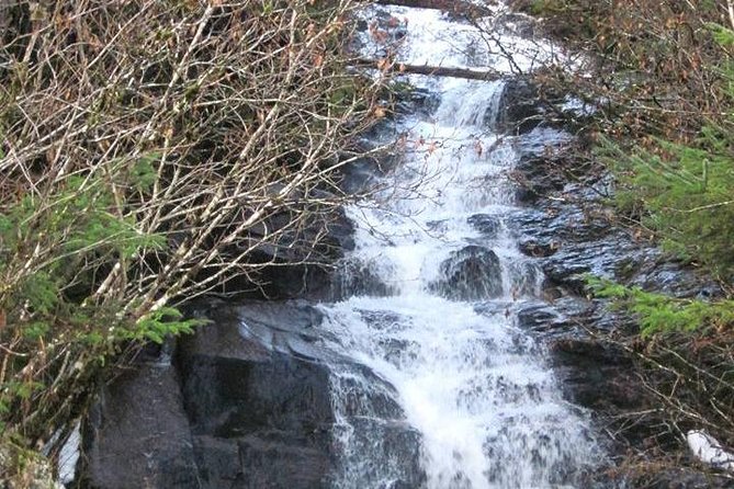 Ketchikan All In One - Herring Cove: the best chance for wildlife